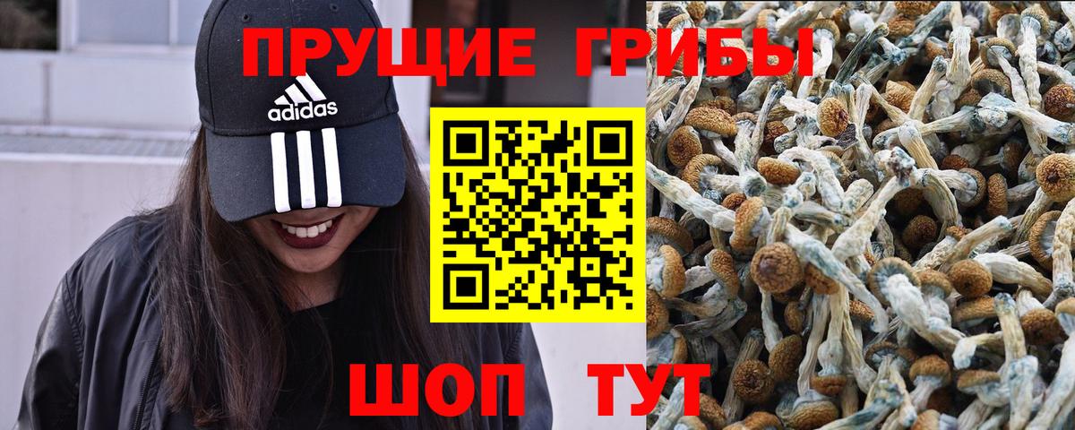 Псилоцибиновые грибы GOLDEN TEACHER  Галлюциногенные грибы Psilocybine cubensis  Вход с VPN  Чебаркуль 